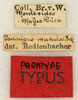 CollectionObject 1592173; 56eb4e3f-528e-48dd-baa5-2544af2acbcf: labels (syntype). (CollectionObject).