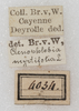 CollectionObject 1566576; NMW 4034, fc9ef98f-ab36-42c7-85ea-9eb25e0e2f2f: labels. (CollectionObject).
