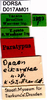 CollectionObject 1566398; 6f92decc-86ec-4fd1-a76c-d5130bc37fd2: labels (syntype). (CollectionObject).