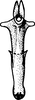 Aedeagus, ventral view: !! display not done !! on Paraphlepsius (Gamarex) brunneus (DeLong, 1916): Aedeagus, distal view. (Observation).
