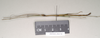 CollectionObject 1559547; NHMUK(SF IMPORT DUPLICATE) 844768-770, a87c5e59-0d66-4cec-b986-7bc2f5651291: copyright Natural History Museum, London. male, lateral view of Lopaphus langkawicus (paratype). (CollectionObject).