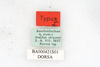 labels (syntype). Depicts CollectionObject 1501136; 0f43146f-0839-4849-aa4d-8b7ee3a09f0f, a CollectionObject.