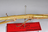CollectionObject 1557137; b9e8cfd5-2703-4de1-a0f4-5eed5fa3f775: copyright ZMB, Berlin. female: mid body, lateral view (syntype). (CollectionObject).;CollectionObject 1557138; 5fc68556-22dd-4594-bd84-d4e4150cbe92: copyright ZMB, Berlin. female: mid body, lateral view (syntype). (CollectionObject).