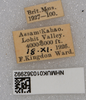 CollectionObject 1578998; 1ff50dc6-0bb1-46d2-928e-1d1cafe2fde2: labels. (CollectionObject).