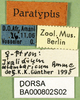 CollectionObject 1502659; 2f3d92b2-67ee-4e40-b65c-980a0a721361: labels (paratype of Ixalidium usambaricum). (CollectionObject).
