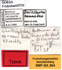 CollectionObject 1505377; 8e7776ff-4e42-416e-a8ed-6b99346a9a94: labels (holotype). (CollectionObject).