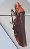 Habitus, lateral view: !! display not done !! on Aulacizes quadripunctata (Germar, 1821): Lateral. (Observation).