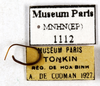 CollectionObject 1587225; MNHN(SF IMPORT DUPLICATE) MNHN-EP-EP1112, 09c75243-ee54-49a0-8a63-7d0bc9dfada0: CC BY-NC-ND 4.0/MNHN - Depraetere Marion - 2014. Non type, sex unknown. Specimen number: MNHN-EP-EP1112. http://coldb.mnhn.fr/catalognumber/mnhn/ep/ep1112. (CollectionObject).