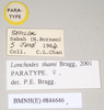 CollectionObject 1559519; f59865d1-9e15-42a5-afec-c985e4c543a2: copyright Natural History Museum, London. female, data labels (paratype). (CollectionObject).;CollectionObject 1559520; 0d2dd073-5988-4e12-afbc-fefb1724a3e5: copyright Natural History Museum, London. female, data labels (paratype). (CollectionObject).