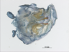 CollectionObject 1578223; 15a4a989-b64f-41f9-bff0-865db3461705: phallus, outer view. (CollectionObject).