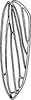 Forewing: !! display not done !! on Dorycephalus hunnorum Emeljanov, 1964: (Observation).
