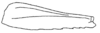 Callimenellus albomaculatus Gorochov & Voltshenkova, 2005: Fig. 40. hind femur. (Otu).