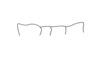 Aptoceras micropterus Descamps, 1981: Fig. 57. pronotum, lateral view. (Otu).
