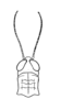 Leiotettix politus Rehn, 1913: Fig. 14 (after type). male, dorsal outline of head and pronotum. (Otu).