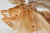 CollectionObject 1533038; NMW 15.460', 1e7dca16-5ead-4a8e-b7d2-95952751d224: female, dorso-lateral view (syntype). (CollectionObject).