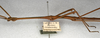 CollectionObject 1559482; NMW 499, d9659f10-b744-4cca-b087-abfa1491f2af: copyright NMW, Vienna. male: head and thorax, lateral view of synonym Lonchodes infrequens (lectotype). (CollectionObject).