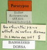 CollectionObject 1580744; cd8d90f3-7c45-444f-b9d9-483eef4312e5, DORSA BA000633S03: labels (paralectotype). (CollectionObject).