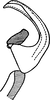 Aedeagus, lateral view: Aedeagus, lateral view. (Observation).