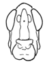 Aleuas uruguayensis Carbonell, 2008: Fig. 20D. male head, frontal view. (Otu).