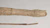 CollectionObject 1557251; c8103a57-5463-4533-a7a5-53285f3c857f, NHMUK(SF IMPORT DUPLICATE) 844584: copyright Natural History Museum, London. Lonchodes nigropunctatus female: end of abdomen, dorsal view (holotype). (CollectionObject).