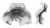 Ceuthophilus (Geotettix) hebardi Hubbell, 1936: Figs. 84-84a. epiphallus. (Otu).