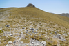 CollectionObject 1598746; 7ca37897-42e7-4a11-8e73-750ab0b79db9: habitat. (CollectionObject).;CollectionObject 1598747; a712210e-d95b-4b67-9430-fe6b4ed613b4: habitat. (CollectionObject).