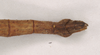 CollectionObject 1561303; 130d3935-aafd-422d-aeac-115fde2bd7a7: copyright Natural History Museum, London. female: end of abdomen, dorsal view of Perlamorphus peleus (holotype). (CollectionObject).