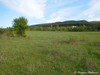CollectionObject 1591267; bacf39f9-8aa7-4afc-a75e-2335d1c18e57: habitat (BG: Sofia kettle, Germanski Manastir). (CollectionObject).