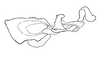 Baeacris talamancensis Rowell & Carbonell, 1977: Fig. 14. male genitalia without cingulum, lateral view. (Otu).