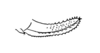 Burgilis missionum Rehn, 1913: Fig. 23 (after type). female ovipositor. (Otu).