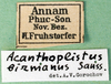 CollectionObject 1501913; a100aa4c-3f1c-405b-a440-55b5a7854cea: labels. (CollectionObject).