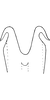 Aedeagus, ventral view: Aedeagus, ventral view. (Observation).