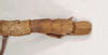 CollectionObject 1558652; NHMUK(SF IMPORT DUPLICATE) 845051, a9db6791-05d9-42c1-a67f-2d288a446cec: copyright Natural History Museum, London. female: end of abdomen, dorsal view (lectotype). (CollectionObject).