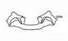 Rhammatocerus palustris Carbonell, 1988: Fig. 14. Epiphallus (frontal view). (Otu).