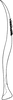 Stylus: Stylus. (Observation).