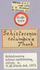 CollectionObject 1499494; b6e1dcb2-3a1f-45c7-9c7f-6207bd38606e: labels (holotype). (CollectionObject).