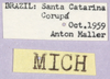 CollectionObject 1499616; 1290c3a3-d1dc-4ac4-9111-615cfcd8b45a: labels. (CollectionObject).