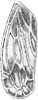 Forewing: !! display not done !! on Diplocolenus (Diplocolenus) bohemanni (Zetterstedt, 1837): Forewing. (Observation).