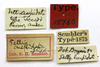 CollectionObject 1523043; 05a12849-ed56-48c7-bcb0-34b65444f74b: labels (holotype). (CollectionObject).
