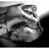 Pygofer, lateral view on Drakensbergena fuscovittata Linnavuori, 1961: Pygofer, lateral view. (Observation).