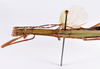 CollectionObject 1563569; d53ba9aa-c1b4-4396-b16a-a2c3102a09f9: copyright ZMHB, Berlin. female: head & thorax, dorsal view (paratype). (CollectionObject).;CollectionObject 1563570; b9606b8b-edc8-49be-a110-00ac36b485a8: copyright ZMHB, Berlin. female: head & thorax, dorsal view (paratype). (CollectionObject).
