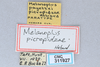 CollectionObject 2765677; 717ca1ba-3427-4f34-89fb-dc1857fc7100, CNCI 311927: (CollectionObject).