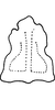 Connective on Aguriahana metallica Distant, 1918: Connective. (Observation).