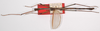 CollectionObject 1563069; c3666a36-78e0-441a-8c61-a24ccf583f64: copyright ZSMC. male (holotype). (CollectionObject).