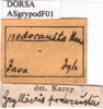 CollectionObject 1537651; 6c144664-83ca-4320-a4de-8c962255fe22: labels. (CollectionObject).