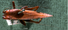 CollectionObject 1503290; MBBJ 3224872, 9ebeaf83-c7e1-4c83-951b-5ef4066babae: female, dorsal view. (CollectionObject).