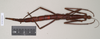 CollectionObject 1563681; 7e90f1ec-6ce5-46ac-907f-e9c288413e4d: copyright Natural History Museum, London. female (paratype). (CollectionObject).;CollectionObject 1563682; 79e6268e-5a54-455c-a2cd-6d34daaf9310: copyright Natural History Museum, London. female (paratype). (CollectionObject).