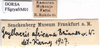 CollectionObject 1530793; f52fde61-b463-4841-92bb-9928413e751c: male, labels. (CollectionObject).