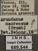 Other: !! display not done !! on Arundanus nacreosus (Crumb, 1915): Labels. (Observation).