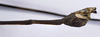 CollectionObject 1590030; e379d0f6-820e-45d2-80c6-29258decc65f: copyright MNHN, Paris. male: end of abdomen, lateral view (paratype). (CollectionObject).